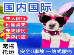 上海航空物流国际宠物托运 【国